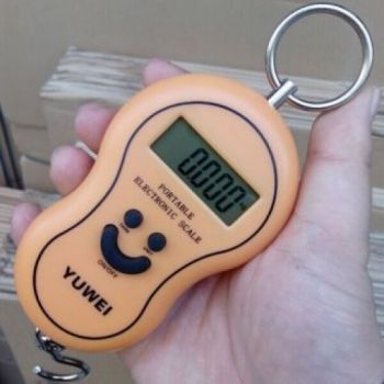 New Portable Electroni Hanging Scale YW-S001  - Kitchen Appliances - Best Price in Pakistan - HitShop.pk